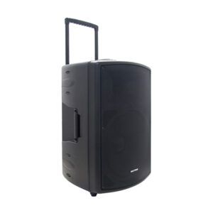 Speaker Portable Bluetooth Polytron PAS PRO12F3